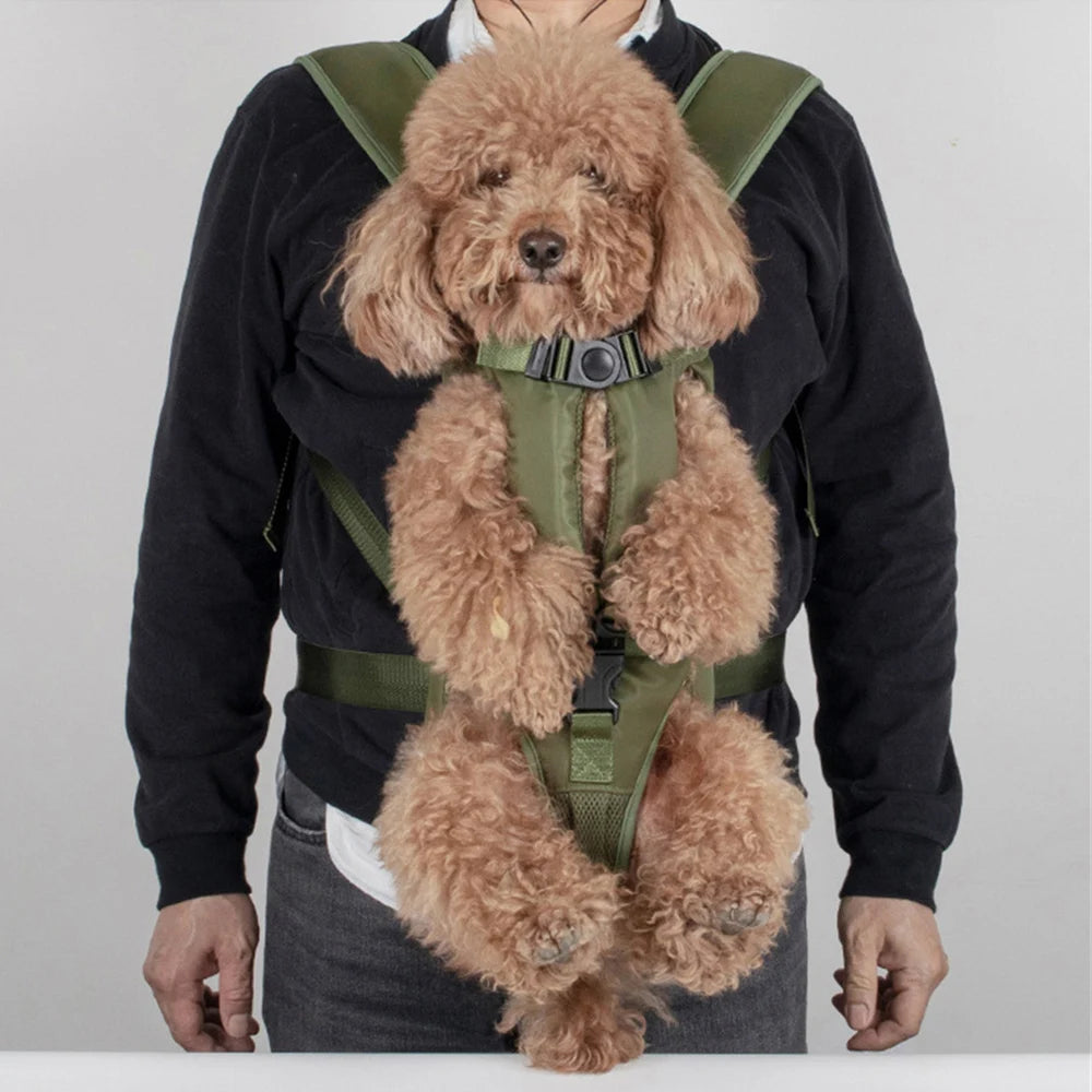 Baby bjorn carrier for dogs online