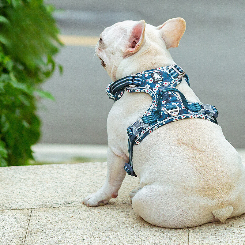 Fashion dog harness best sale