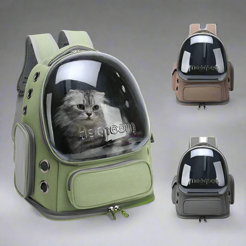 Cat clear backpack online