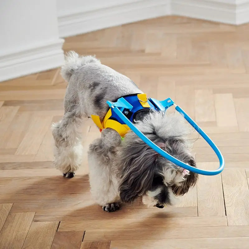 Blind Pet Anti-Collision Harness